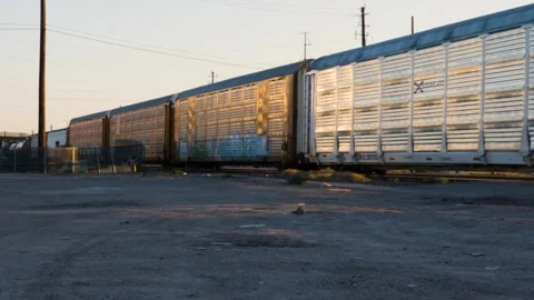 Cargo train on train tracks passes by Stock Footage 282255793