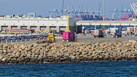 Cargo trucks navigate the bustling Port of Los Angeles shipping terminal Vídeo Stock 331324537