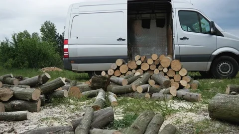 Cargo van near firewoods. Process of uploading / unloading, delivery. Video stock 131406818