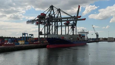 Cargo Vessel and Loading Cranes at Port Terminal Vídeos de archivo 342281409