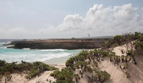 Caribbean beach Bonaire island Stock Photos