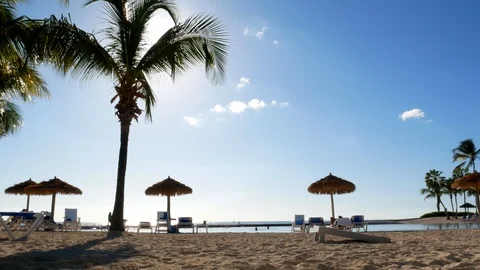 Caribbean beach during sunset hour with palm trees and sunny blue sky Stock-Footage 121478152