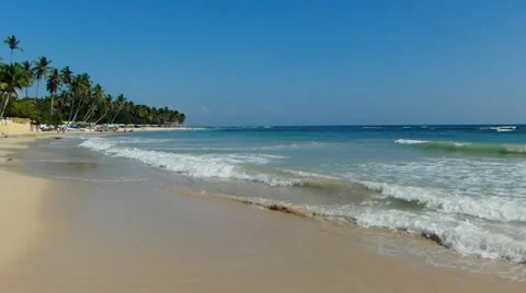 Caribbean beach Stock Footage 44300731