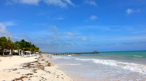 Caribbean beach Stock Footage 45877889