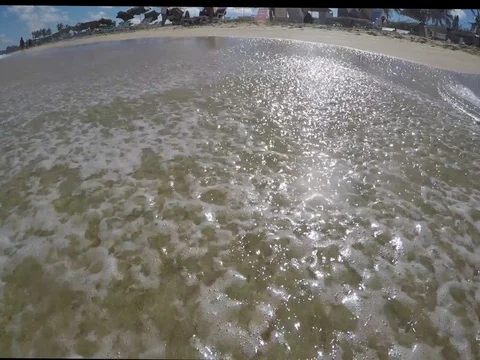 Caribbean Beach  Stock Footage 89479720