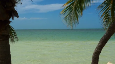 Caribbean beach Stock Footage 94706536