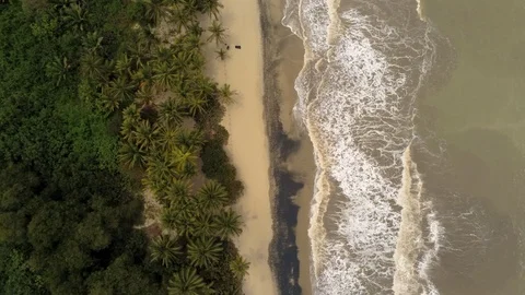 Caribbean Beach Stock Footage 107039973