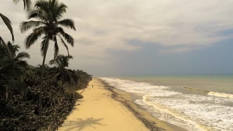 Caribbean Beach Stock Footage 107040006
