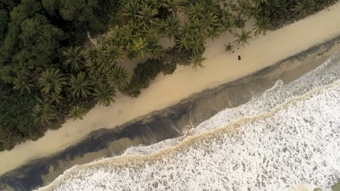 Caribbean Beach Stock Footage 107041552