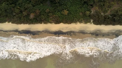 Caribbean Beach Stock Footage 107042059
