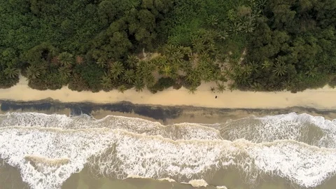 Caribbean Beach Stock Footage 107042099