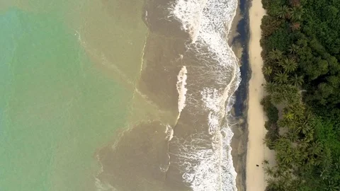 Caribbean Beach Stock Footage 107043029