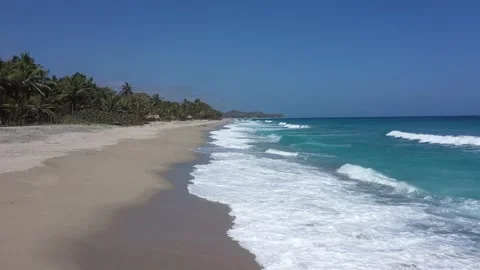 Caribbean Beach Video stock 130480366