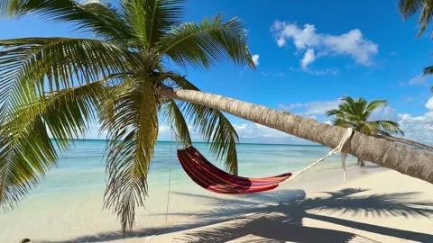 Caribbean beach with hammock at palm trees Stock Footage 297612695
