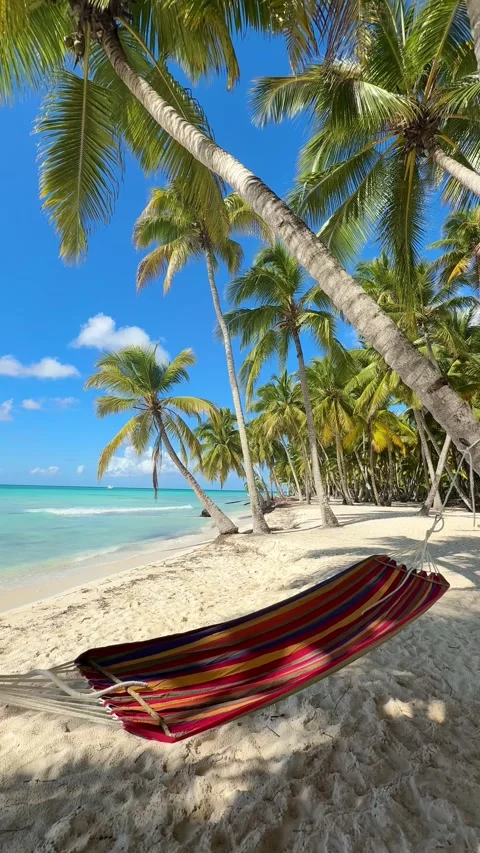 Caribbean beach with hammock at palm trees and sea Stock Footage 297612752