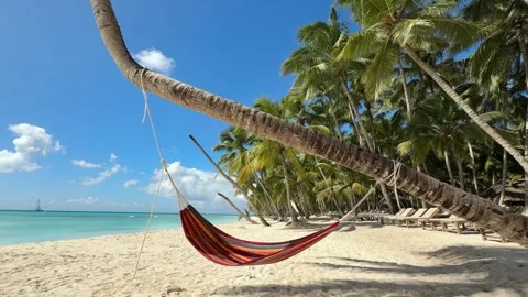 Caribbean beach with hammock at palm trees Stock Footage 297612788