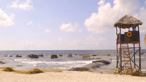 Caribbean Beach Landscape Video stock 126434201