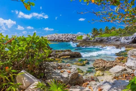 Caribbean beach in Mexico Stock Photos