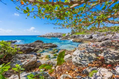 Caribbean beach in Mexico Stock Photos