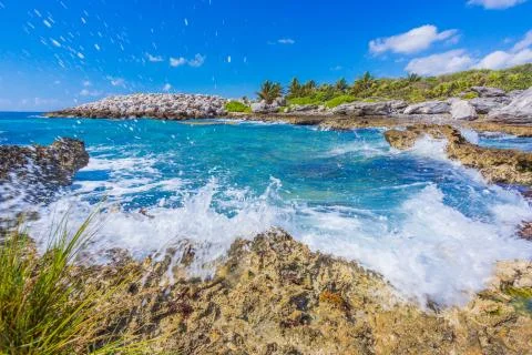 Caribbean beach in Mexico Stock Photos