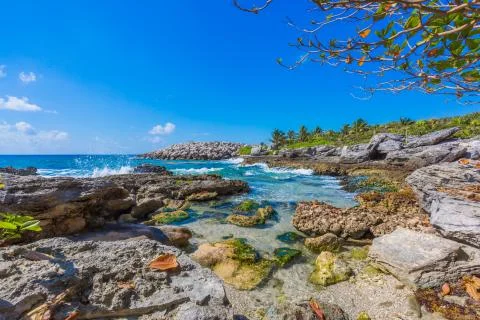Caribbean beach in Mexico Stock Photos