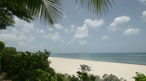 Caribbean Beach with Palms Stock Footage 46618489