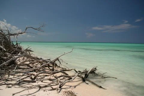 Caribbean beach Stock Photos