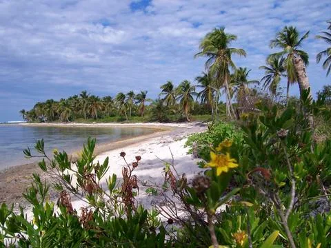 Caribbean beach Stock Photos