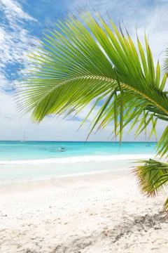 Caribbean beach Foto stock