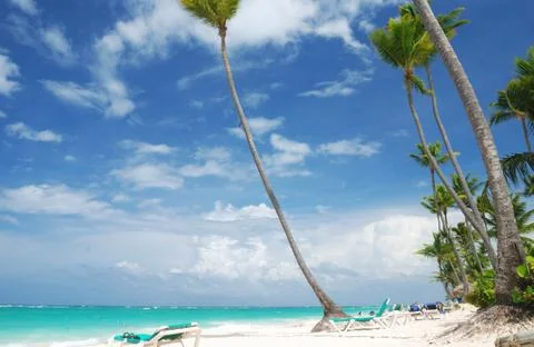 Caribbean beach Stock Photos