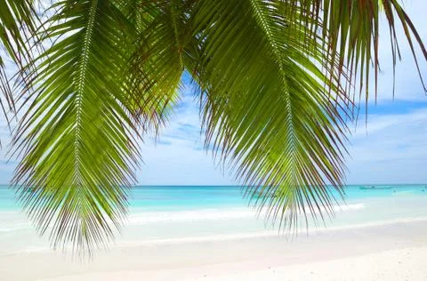 Caribbean beach Stock Photos
