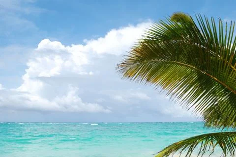 Caribbean beach Stock Photos