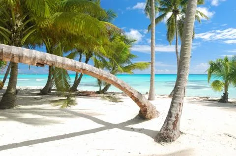 Caribbean beach Stock Photos