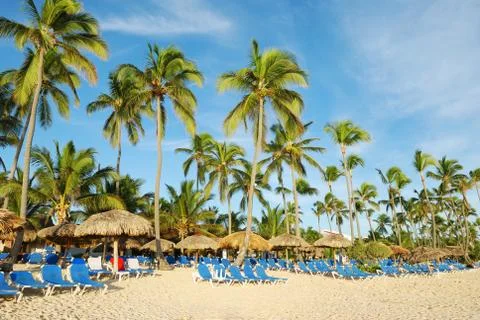 Caribbean beach Stock Photos