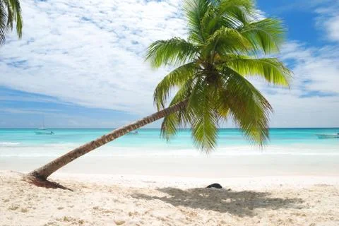 Caribbean beach Stock Photos