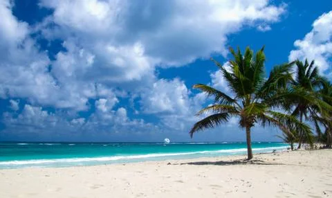 Caribbean beach Stock Photos