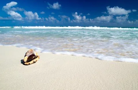 Caribbean beach Stock Photos