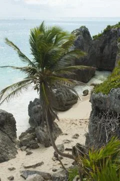Caribbean beach. Stock Photos