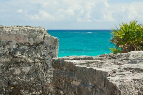 Caribbean beach. Stock Photos