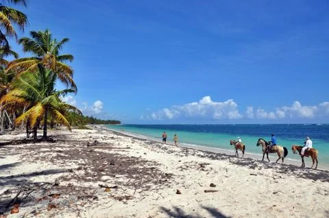 Caribbean beach Stock Photos