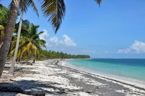 Caribbean beach Stock Photos