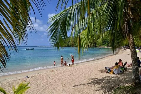 Caribbean beach Stockfoto's