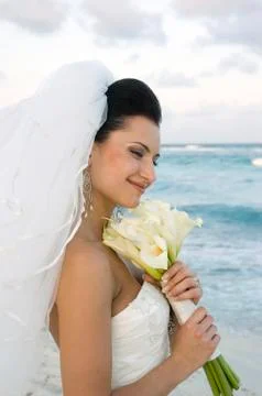 Caribbean beach wedding 写真素材