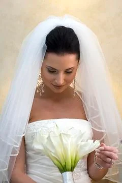 Caribbean beach wedding Stock Photos