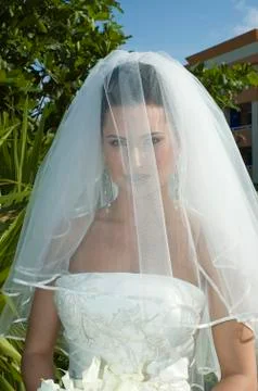 Caribbean beach wedding 写真素材