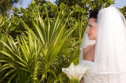 Caribbean beach wedding Stock Photos