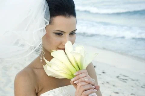 Caribbean Beach Wedding Stock Photos