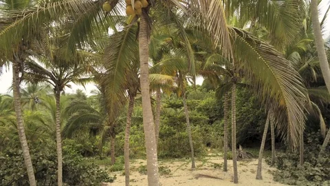 Caribbean Beacn Stock Footage 107041393