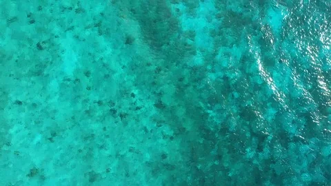 Caribbean Blue 库存影片 112272575