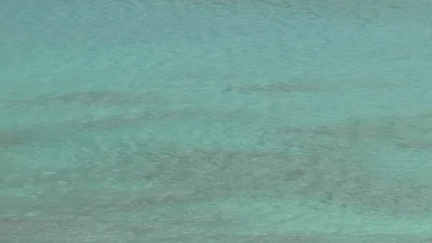 Caribbean Blue Sea Stock Footage 108511341